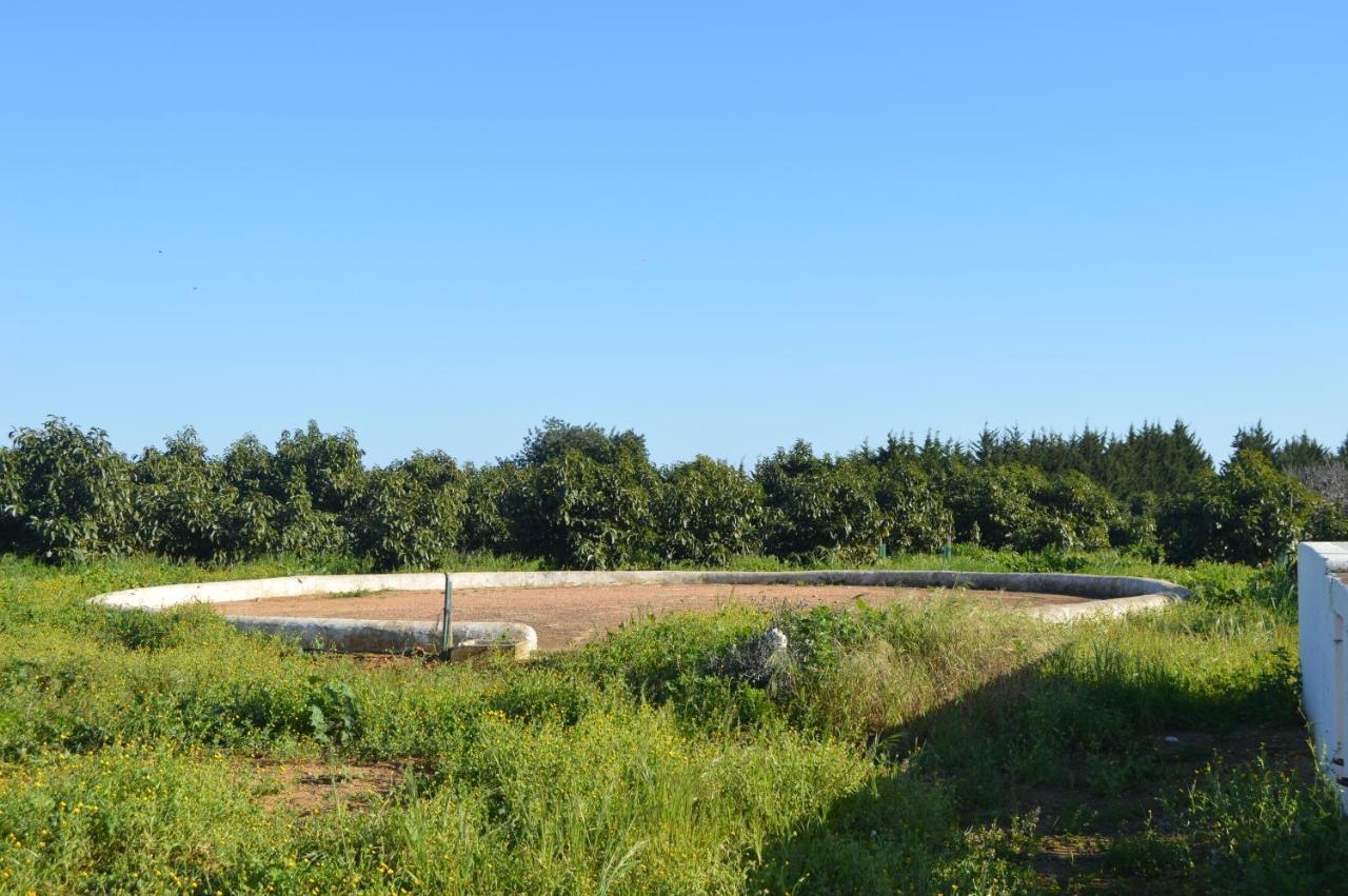 Quinta Das Figueiras Vila Nova de Cacela Luaran gambar